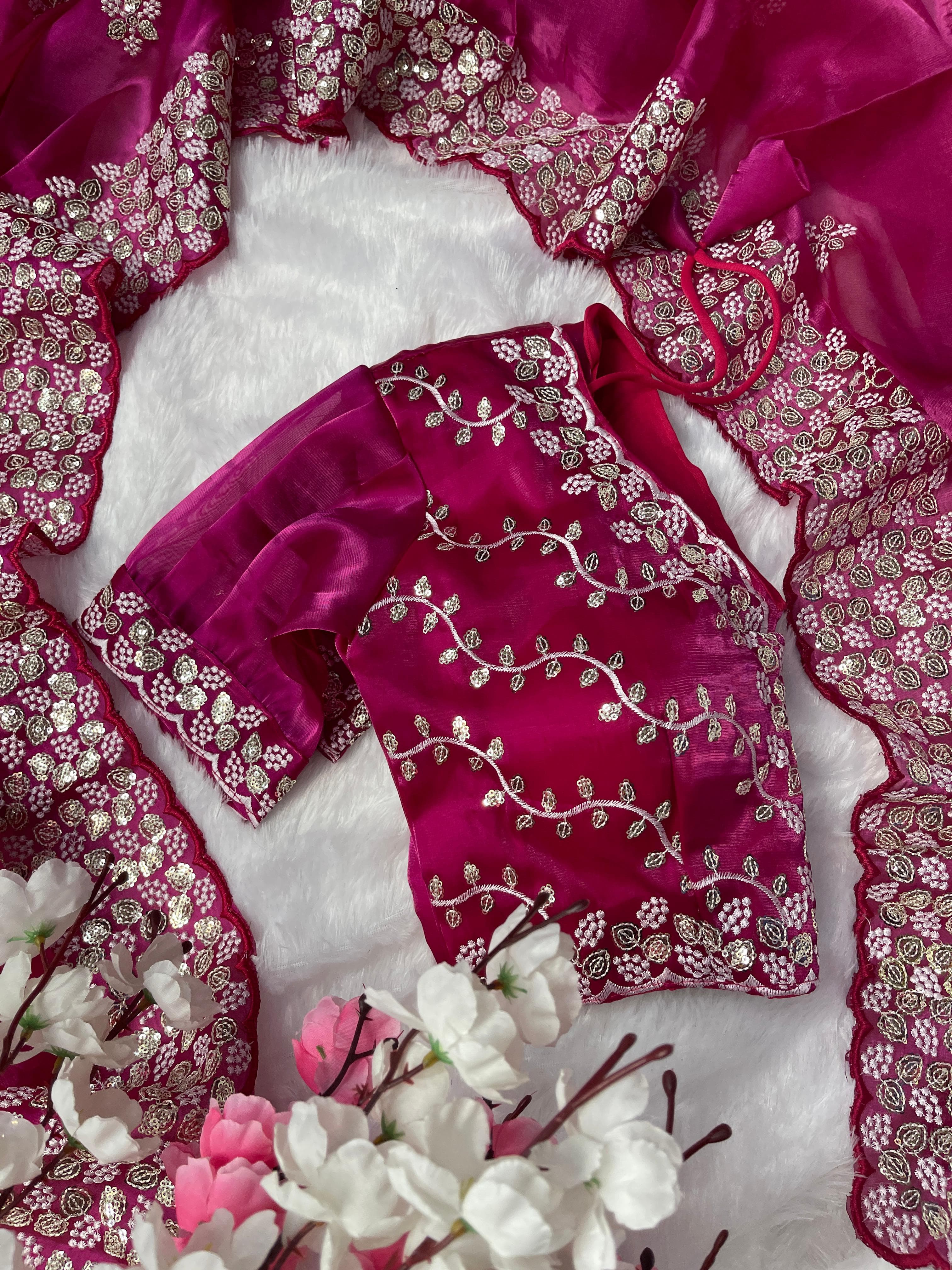 Beautiful Work Pink Color Saree With Blouse