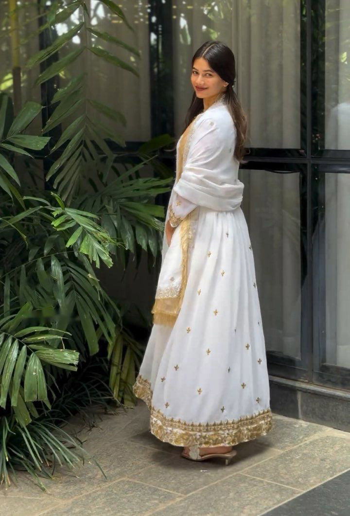 Golden Embroidery Work White Long Anakali Gown