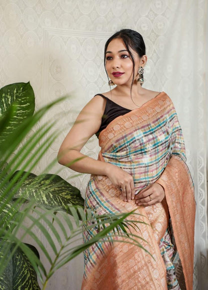 Multi With Peach Border Silver Weaving Silk Saree