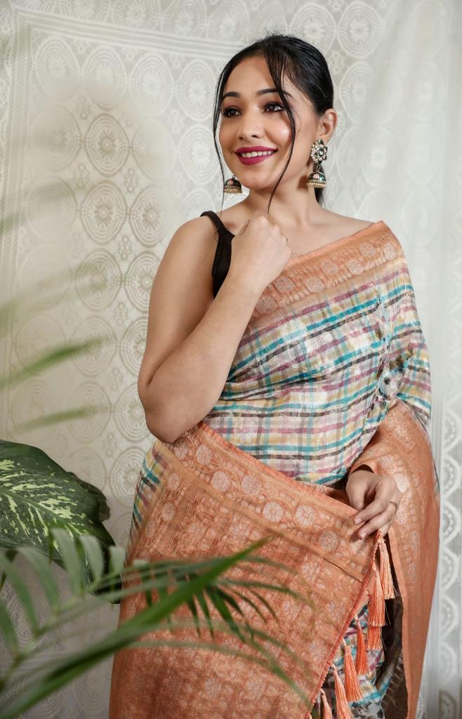 Multi With Peach Border Silver Weaving Silk Saree