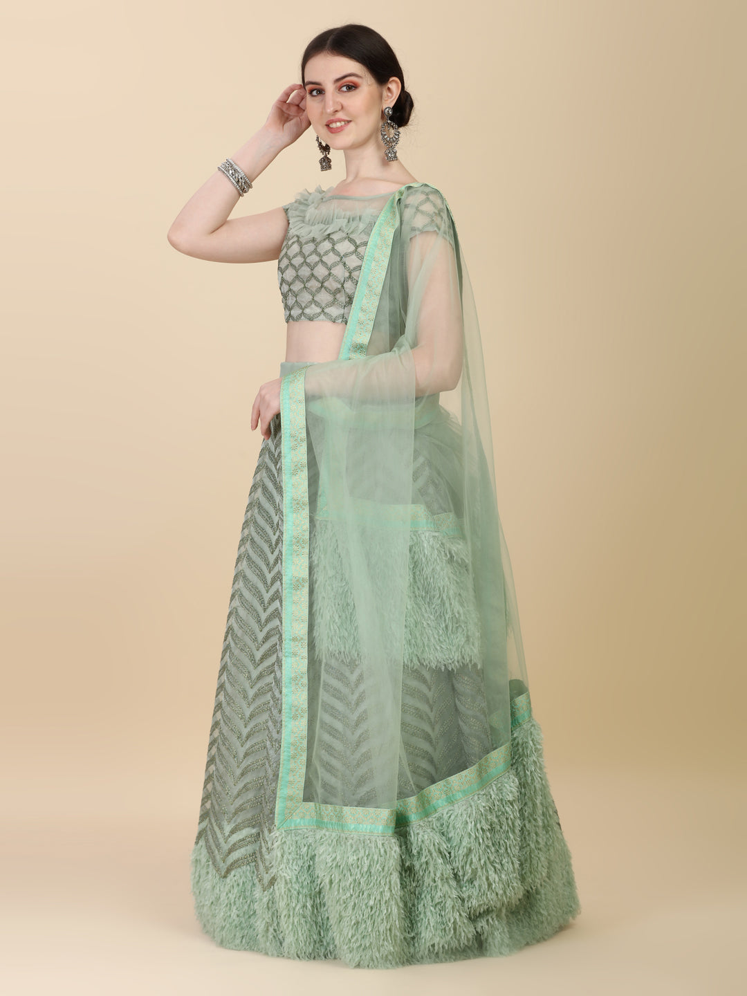 Superhit Pista Color Imported Fabric Lehenga Choli