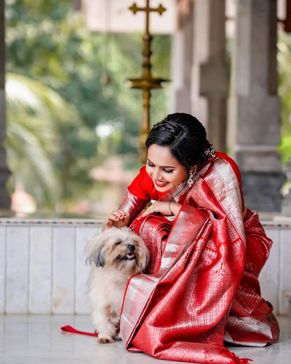 Blissful Red Color Rich Pallu Jacquard Border Saree