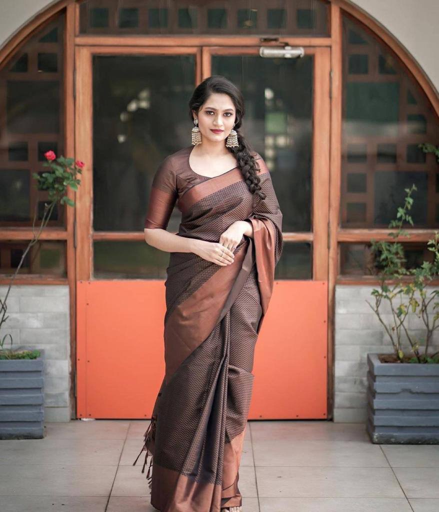 Wonderful Brown Color Banarasi Silk Saree