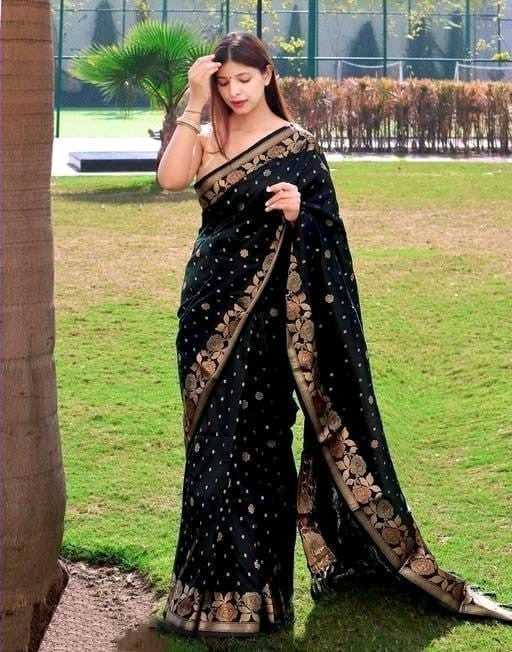 Attractive Kanjivaram Banarasi Silk Black Color Saree