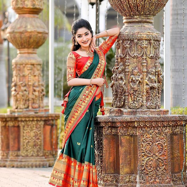 New Beautiful Embroidered Saree with Blouse-SHREE001PS – www.soosi.co.in