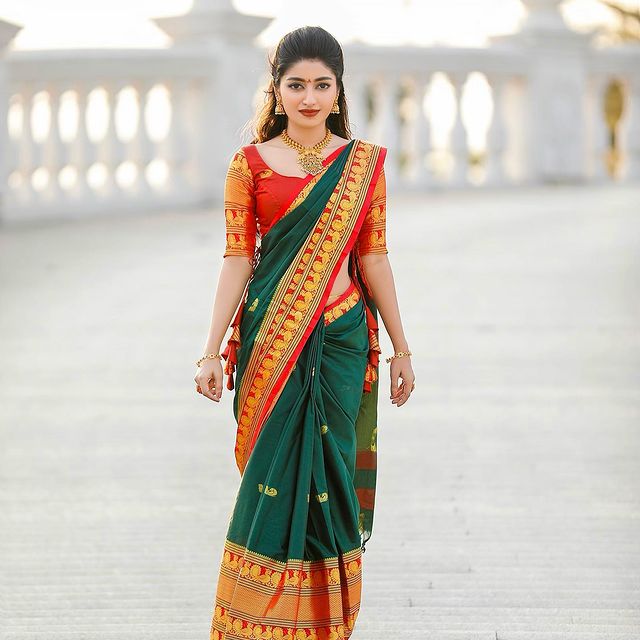 Red & Green Net Sari (Saree) - Traditional Indian Pakistani Fashion –  TRENDZ & TRADITIONZ BOUTIQUE