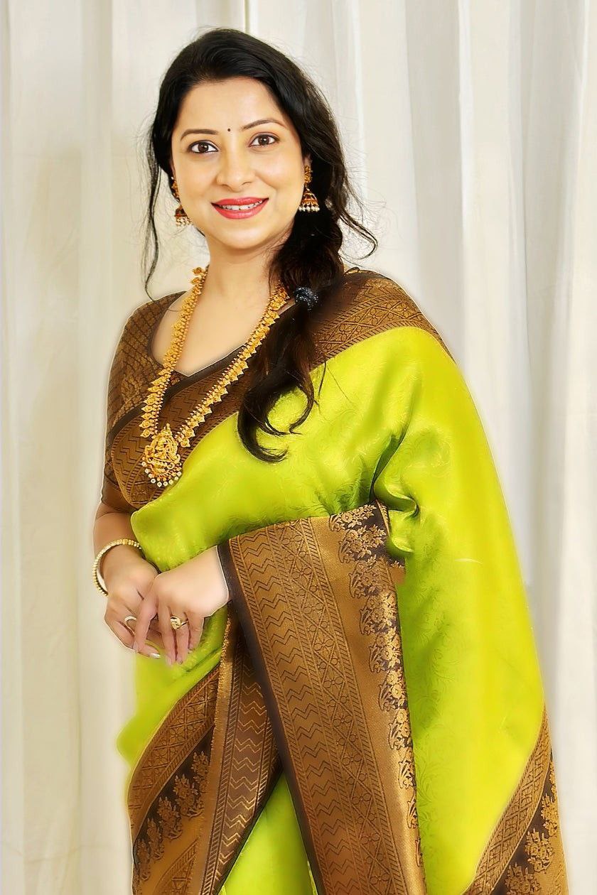 Party Wear Parrot Green Color Soft Silk Coper Jari Design Saree