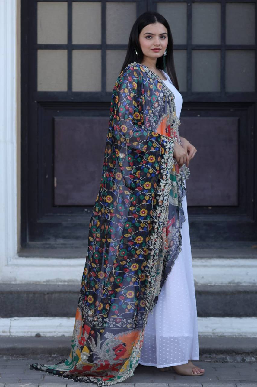 Pretty White Gown With Black Organza Dupatta